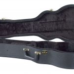 Best Ukulele case